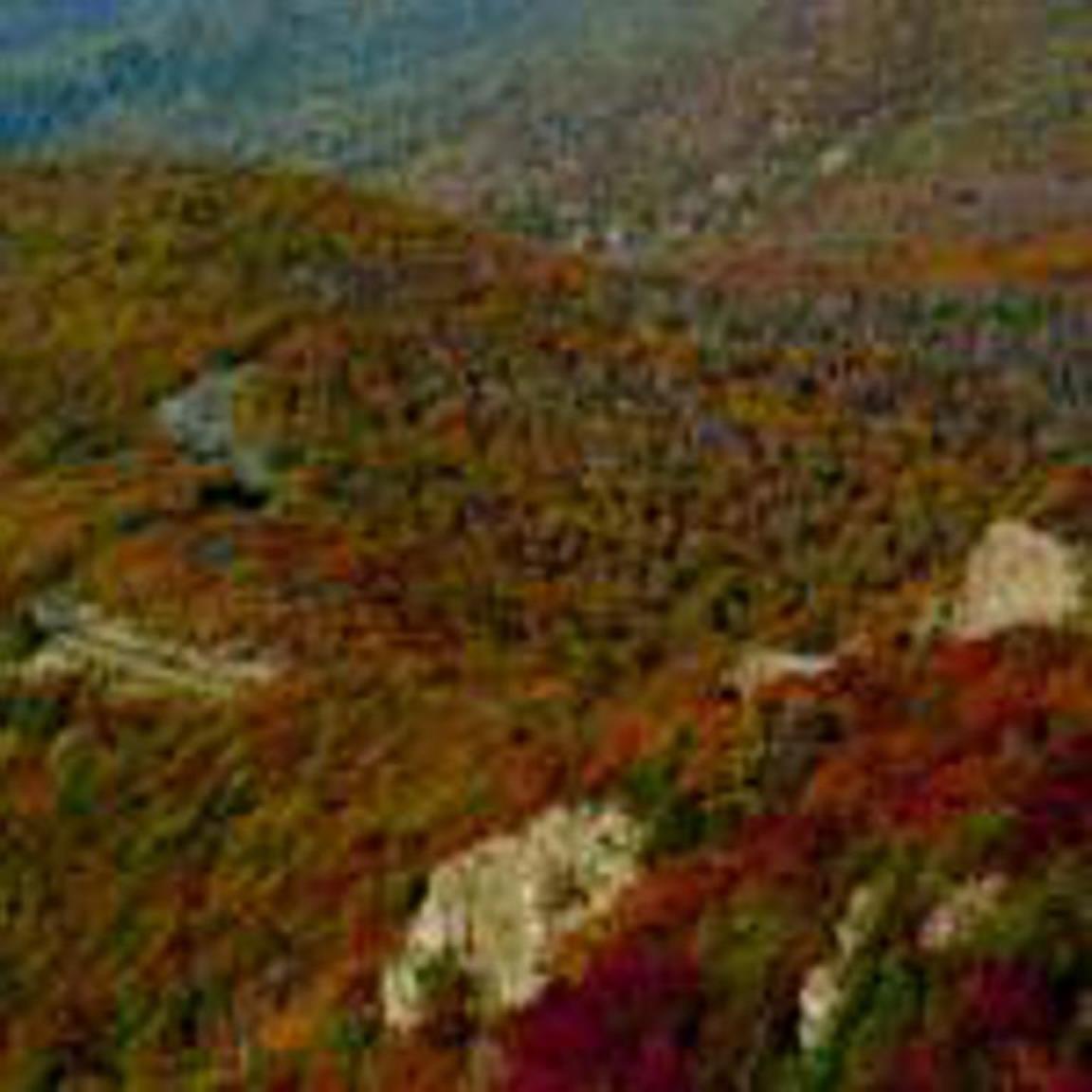 Skyland Resort Luray Exterior photo